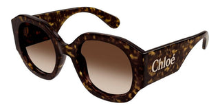 Chloé CH0234S women Havana Oversize Sunglasses