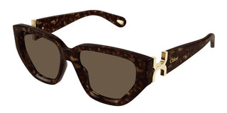 Chloé CH0235S women Havana Cat Eye Sunglasses