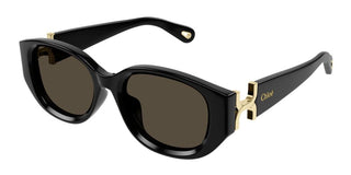 Chloé CH0237SK women Black Cat Eye Sunglasses