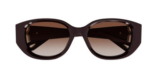 Chloé CH0237SK women Red Cat Eye Sunglasses