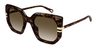 Chloé CH0240S women Havana Butterfly Sunglasses