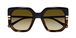 Chloé CH0240S women Black Butterfly Sunglasses