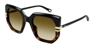 Chloé CH0240S women Black Butterfly Sunglasses