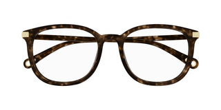 Chloé CH0247OA women Havana Squared Eyeglasses