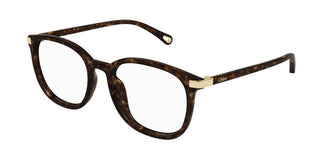 Chloé CH0247OA women Havana Squared Eyeglasses