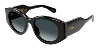 Chloé CH0251S women Black Pantos Sunglasses