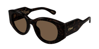 Chloé Ch0251s Women Havana Pantos Sunglasses