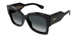 Chloé Ch0252s Women Black Butterfly Sunglasses