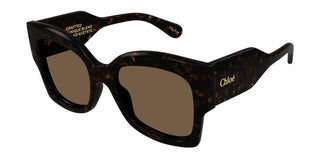 Chloé Ch0252s Women Havana Butterfly Sunglasses