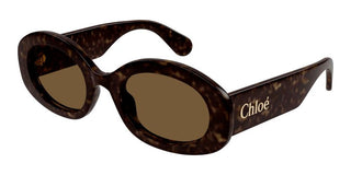 Chloé CH0258S women Brown Oval Sunglasses