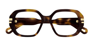 Chloé CH0266O women Havana Squared Eyeglasses