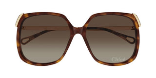 Chloé Ch0286s Women Havana Squared Sunglasses