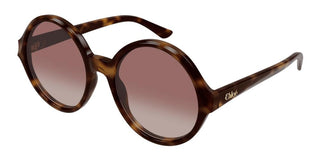 Chloé CH0290S women Havana Round Sunglasses