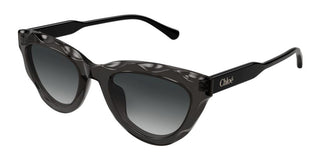 Chloé CH0294S women Black Cat Eye Sunglasses