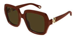 Chloé CH0301S women Red Squared Sunglasses