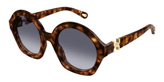 Chloé CH0302S women Havana Round Sunglasses