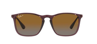 Ray-Ban CHRIS RB 4187 men Brown Geometric Sunglasses