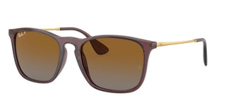 Ray-Ban CHRIS RB 4187 men Brown Geometric Sunglasses