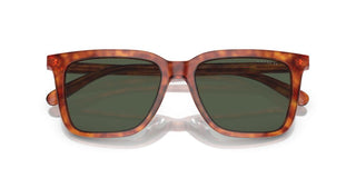 Coach CI910 HC 8385U men Brown Squared Sunglasses