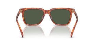 Coach CI910 HC 8385U men Brown Squared Sunglasses