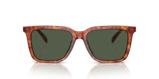 Coach CI910 HC 8385U men Brown Squared Sunglasses