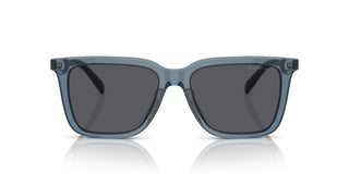 Coach CI910 HC 8385U men Blue Squared Sunglasses