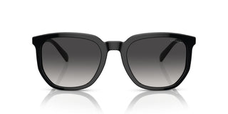 Coach CI911 HC 8384U men Black Geometric Sunglasses