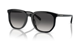 Coach CI911 HC 8384U men Black Geometric Sunglasses