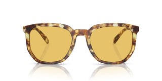 Coach CI911 HC 8384U men Brown Geometric Sunglasses