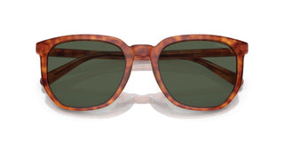 Coach CI911 HC 8384U men Brown Geometric Sunglasses