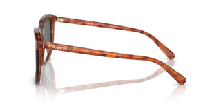 Coach CI911 HC 8384U men Brown Geometric Sunglasses