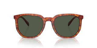 Coach CI911 HC 8384U men Brown Geometric Sunglasses