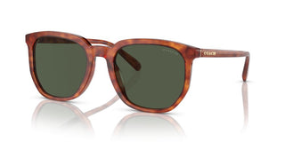 Coach CI911 HC 8384U men Brown Geometric Sunglasses