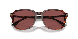 Coach CI912 HC 8383U men Brown Squared Sunglasses