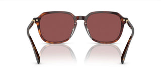 Coach CI912 HC 8383U men Brown Squared Sunglasses