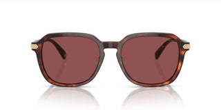 Coach CI912 HC 8383U men Brown Squared Sunglasses