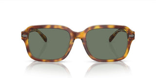 Coach CI914 HC 8388U men Brown Squared Sunglasses