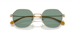 Coach CI915 HC 7155 men Gold Geometric Sunglasses