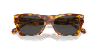 Coach CI917 HC 8389U women Brown Squared Sunglasses