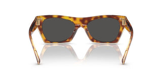 Coach CI917 HC 8389U women Brown Squared Sunglasses