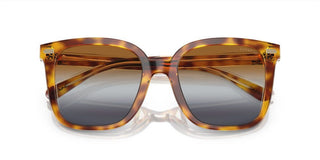 Coach CI918 HC 8381U women Brown Squared Sunglasses