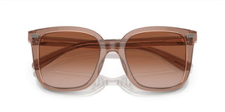 Coach CI918 HC 8381U women Brown Squared Sunglasses