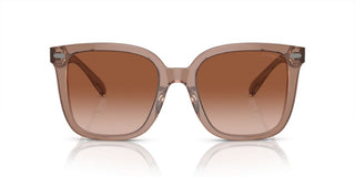 Coach CI918 HC 8381U women Brown Squared Sunglasses