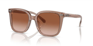 Coach CI918 HC 8381U women Brown Squared Sunglasses