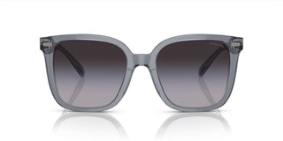 Coach CI918 HC 8381U women Grey Squared Sunglasses