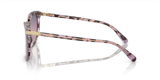 Coach CI926 HC 8378U women Multicolor Cat Eye Sunglasses