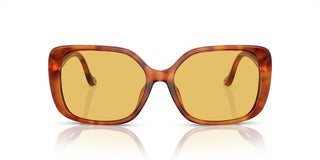 Coach CI929 HC 8376U women Brown Squared Sunglasses