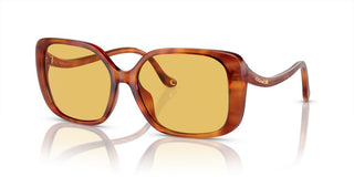 Coach CI929 HC 8376U women Brown Squared Sunglasses