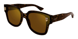 Cartier Panthère de Cartier CT0357SA women Havana Squared Sunglasses