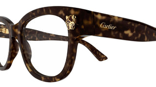 Cartier CT0373O women Havana Squared Eyeglasses